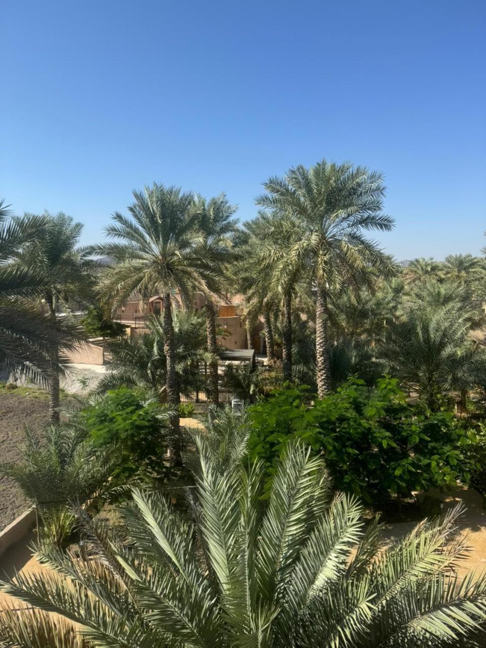 Jawharat Alaqar Inn نزل جوهرة العقر Nizwa Exterior foto